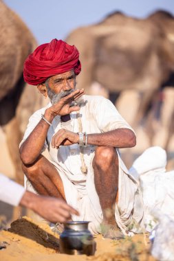 Puşkar, Rajasthan, Hindistan - 11 Kasım 2024: Çöldeki fuar alanında deve ticaret fuarı sırasında renkli türbanlı geleneksel beyaz giysili bir rajasthani erkeğinin portresi.