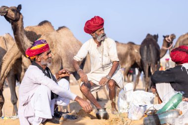 Puşkar, Rajasthan, Hindistan - 11 Kasım 2024: Çöldeki fuar alanında deve ticaret fuarı sırasında renkli türbanlı geleneksel beyaz giysili bir rajasthani erkeğinin portresi.