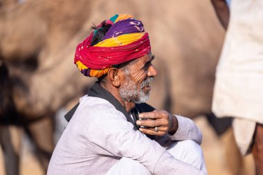 Puşkar, Rajasthan, Hindistan - 11 Kasım 2024: Çöldeki fuar alanında deve ticaret fuarı sırasında renkli türbanlı geleneksel beyaz giysili bir rajasthani erkeğinin portresi.