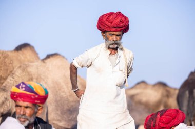 Puşkar, Rajasthan, Hindistan - 11 Kasım 2024: Çöldeki fuar alanında deve ticaret fuarı sırasında renkli türbanlı geleneksel beyaz giysili bir rajasthani erkeğinin portresi.