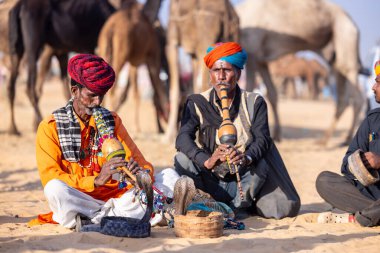 Puşkar, Rajasthan, Hindistan - 11 Kasım 2024: Çöldeki fuar alanında deve ticaret fuarı sırasında renkli türbanlı geleneksel beyaz giysili bir rajasthani erkeğinin portresi. 