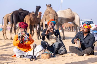 Puşkar, Rajasthan, Hindistan - 11 Kasım 2024: Çöldeki fuar alanında deve ticaret fuarı sırasında renkli türbanlı geleneksel beyaz giysili bir rajasthani erkeğinin portresi. 