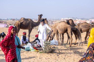 Puşkar, Rajasthan, Hindistan - 11 Kasım 2024: Çöldeki fuar alanında deve ticaret fuarı sırasında renkli türbanlı geleneksel beyaz giysili bir rajasthani erkeğinin portresi.