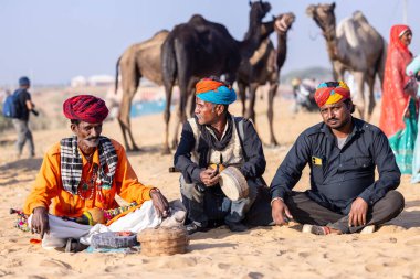 Puşkar, Rajasthan, Hindistan - 11 Kasım 2024: İtme karları fuarı sırasında renkli türbanlı kobra yılanı tutan yılan oynatıcıları grubu.