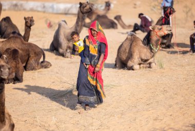 Puşkar, Rajasthan, Hindistan - 11 Kasım 2024: Kimliği belirlenemeyen Hintli Rajasthani kadınlarından oluşan bir grup kış sabahı Pushkar Camel Panayırı 'nda geleneksel renkli elbiseler giyiyor.