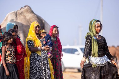 Puşkar, Rajasthan, Hindistan - 11 Kasım 2024: Kimliği belirlenemeyen Hintli Rajasthani kadınlarından oluşan bir grup kış sabahı Pushkar Camel Panayırı 'nda geleneksel renkli elbiseler giyiyor.
