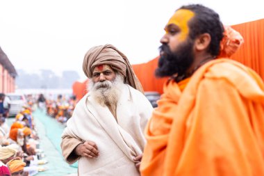 Prayagraj, Uttar Pradesh, Hindistan - 15 Ocak 2025: Mahakumbh, bir grup kutsal erkek sadhu namaz kılmak ve kış sabahı ayinlerini gerçekleştirmek için.