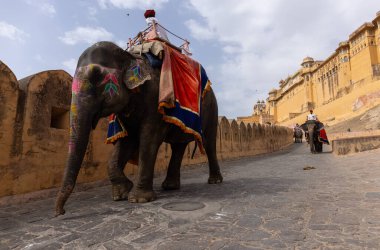 Jaipur 'daki kehribar kalesinde madalyalı file binen kimliği belirsiz bir turist. Arkaplanda Amber Kalesi 'nin mimari görünümü.