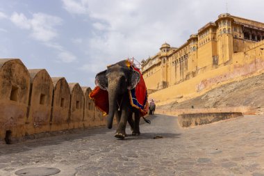 Jaipur 'daki kehribar kalesinde madalyalı file binen kimliği belirsiz bir turist. Arkaplanda Amber Kalesi 'nin mimari görünümü.