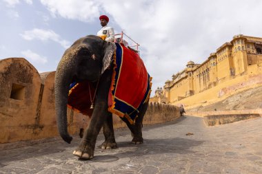 Jaipur 'daki kehribar kalesinde madalyalı file binen kimliği belirsiz bir turist. Arkaplanda Amber Kalesi 'nin mimari görünümü.