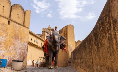 Jaipur 'daki kehribar kalesinde madalyalı file binen kimliği belirsiz bir turist. Arkaplanda Amber Kalesi 'nin mimari görünümü.