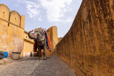 Jaipur 'daki kehribar kalesinde madalyalı file binen kimliği belirsiz bir turist. Arkaplanda Amber Kalesi 'nin mimari görünümü.