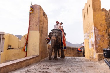 Jaipur 'daki kehribar kalesinde madalyalı file binen kimliği belirsiz bir turist. Arkaplanda Amber Kalesi 'nin mimari görünümü.