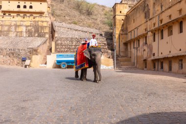 Jaipur 'daki kehribar kalesinde madalyalı file binen kimliği belirsiz bir turist. Arkaplanda Amber Kalesi 'nin mimari görünümü.