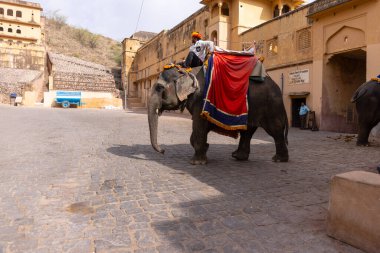 Jaipur 'daki kehribar kalesinde madalyalı file binen kimliği belirsiz bir turist. Arkaplanda Amber Kalesi 'nin mimari görünümü.