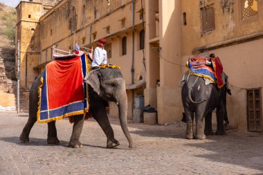 Jaipur 'daki kehribar kalesinde madalyalı file binen kimliği belirsiz bir turist. Arkaplanda Amber Kalesi 'nin mimari görünümü.