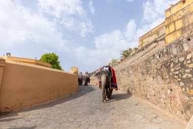 Jaipur 'daki kehribar kalesinde madalyalı file binen kimliği belirsiz bir turist. Arkaplanda Amber Kalesi 'nin mimari görünümü.