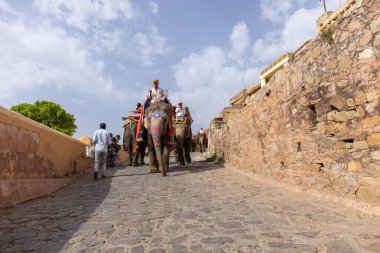 Jaipur 'daki kehribar kalesinde madalyalı file binen kimliği belirsiz bir turist. Arkaplanda Amber Kalesi 'nin mimari görünümü.