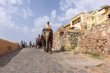 Jaipur 'daki kehribar kalesinde madalyalı file binen kimliği belirsiz bir turist. Arkaplanda Amber Kalesi 'nin mimari görünümü.