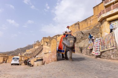 Jaipur 'daki kehribar kalesinde madalyalı file binen kimliği belirsiz bir turist. Arkaplanda Amber Kalesi 'nin mimari görünümü.