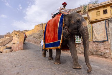 Jaipur 'daki kehribar kalesinde madalyalı file binen kimliği belirsiz bir turist. Arkaplanda Amber Kalesi 'nin mimari görünümü.