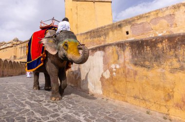 Jaipur 'daki kehribar kalesinde madalyalı file binen kimliği belirsiz bir turist. Arkaplanda Amber Kalesi 'nin mimari görünümü.