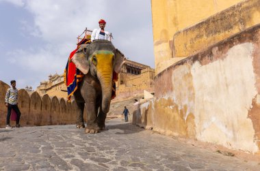 Jaipur 'daki kehribar kalesinde madalyalı file binen kimliği belirsiz bir turist. Arkaplanda Amber Kalesi 'nin mimari görünümü.