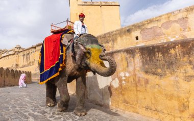Jaipur 'daki kehribar kalesinde madalyalı file binen kimliği belirsiz bir turist. Arkaplanda Amber Kalesi 'nin mimari görünümü.