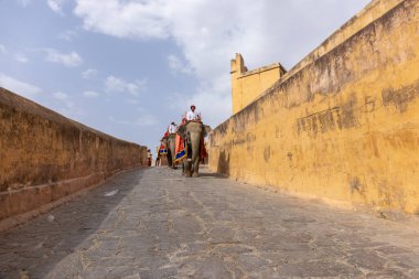 Jaipur 'daki kehribar kalesinde madalyalı file binen kimliği belirsiz bir turist. Arkaplanda Amber Kalesi 'nin mimari görünümü.