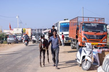 Puşkar, Rajasthan, Hindistan - 11 Kasım 2024: Deve ticareti için yapılan itme deve fuarı sırasında çöl panayırı.