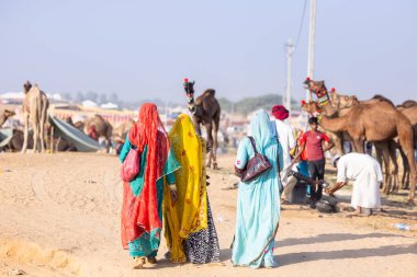 Puşkar, Rajasthan, Hindistan - 11 Kasım 2024: Deve ticareti için yapılan itme deve fuarı sırasında çöl panayırı.