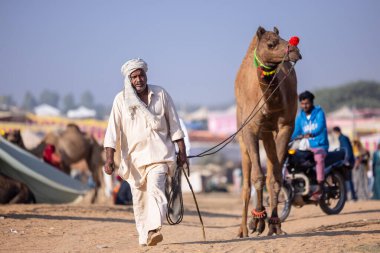 Puşkar, Rajasthan, Hindistan - 11 Kasım 2024: Geleneksel beyaz giysili rajasthani erkek portresi.