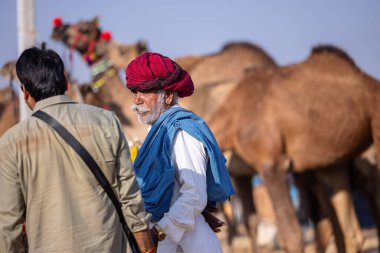 Puşkar, Rajasthan, Hindistan - 11 Kasım 2024: Geleneksel beyaz giysili rajasthani erkek portresi.