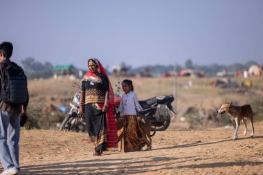 Puşkar, Rajasthan, Hindistan - 11 Kasım 2024: Deve ticareti için yapılan itme deve fuarı sırasında çöl panayırı.