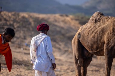 Puşkar, Rajasthan, Hindistan - 11 Kasım 2024: Geleneksel beyaz giysili rajasthani erkek portresi.