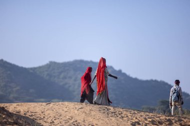 Puşkar, Rajasthan, Hindistan - 11 Kasım 2024: Deve ticareti için yapılan itme deve fuarı sırasında çöl panayırı.