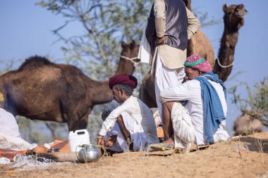 Puşkar, Rajasthan, Hindistan - 11 Kasım 2024: Geleneksel beyaz giysili rajasthani erkek portresi.