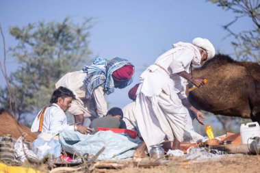 Puşkar, Rajasthan, Hindistan - 11 Kasım 2024: Geleneksel beyaz giysili rajasthani erkek portresi.