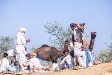 Puşkar, Rajasthan, Hindistan - 11 Kasım 2024: Geleneksel beyaz giysili rajasthani erkek portresi.