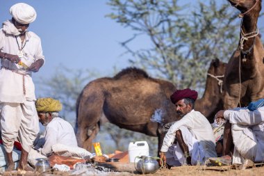 Puşkar, Rajasthan, Hindistan - 11 Kasım 2024: Deve ticareti için yapılan itme deve fuarı sırasında çöl panayırı.