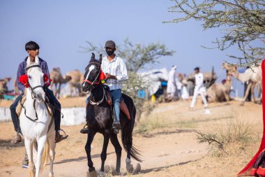 Puşkar, Rajasthan, Hindistan - 11 Kasım 2024: Deve ticareti için yapılan itme deve fuarı sırasında çöl panayırı.