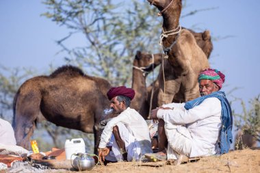Puşkar, Rajasthan, Hindistan - 11 Kasım 2024: Geleneksel beyaz giysili rajasthani erkek portresi.