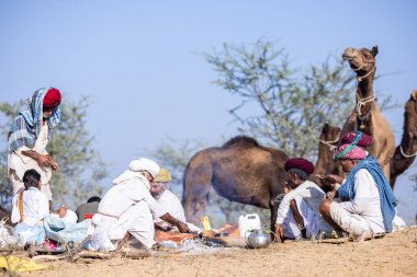 Puşkar, Rajasthan, Hindistan - 11 Kasım 2024: Deve ticareti için yapılan itme deve fuarı sırasında çöl panayırı.