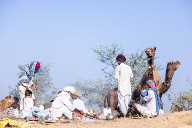 Puşkar, Rajasthan, Hindistan - 11 Kasım 2024: Deve ticareti için yapılan itme deve fuarı sırasında çöl panayırı.