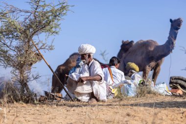 Puşkar, Rajasthan, Hindistan - 11 Kasım 2024: Geleneksel beyaz giysili rajasthani erkek portresi.