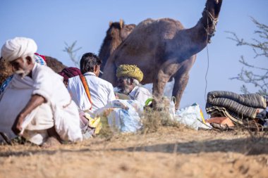 Puşkar, Rajasthan, Hindistan - 11 Kasım 2024: Geleneksel beyaz giysili rajasthani erkek portresi.