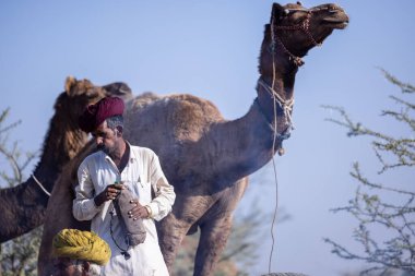 Puşkar, Rajasthan, Hindistan - 11 Kasım 2024: Geleneksel beyaz giysili rajasthani erkek portresi.