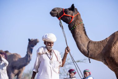 Puşkar, Rajasthan, Hindistan - 11 Kasım 2024: Geleneksel beyaz giysili rajasthani erkek portresi.