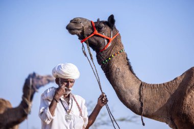 Puşkar, Rajasthan, Hindistan - 11 Kasım 2024: Geleneksel beyaz giysili rajasthani erkek portresi.