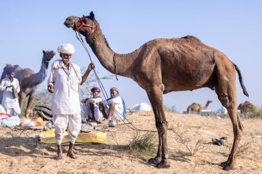 Puşkar, Rajasthan, Hindistan - 11 Kasım 2024: Geleneksel beyaz giysili rajasthani erkek portresi.